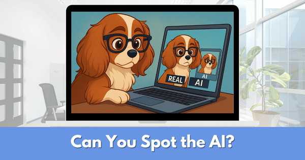 Sometimes it's tricky trying to figure out what is real and what is not.