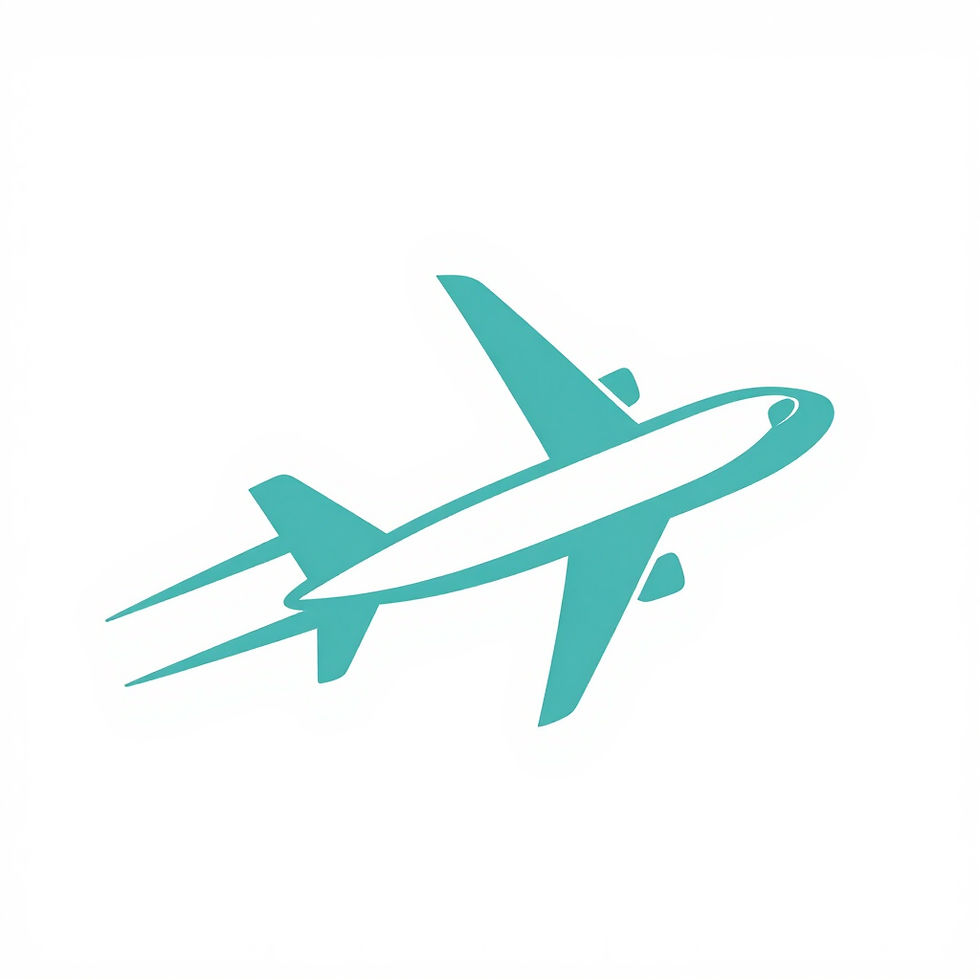 Flight Booking Icon