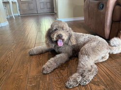 FDF210B5-9D99-4FFB-AAFA-380804518215