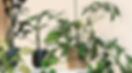 Sustainable salon in Cary NC showing eco-conscious practices and values driven team