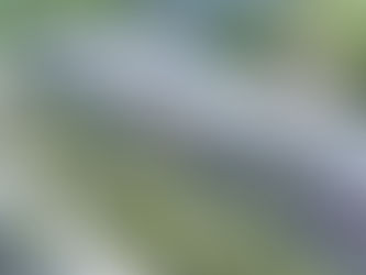 Pine Hills Transfer Center...Closer To Becoming A Reality