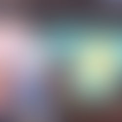 A Local Seventh Grader To Compete In Scripps National Spelling Bee