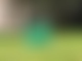 Rosemont Development To Cost $1 Billion