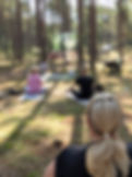 Yinyoga bland tallarna