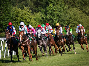 the green room aintree grand national