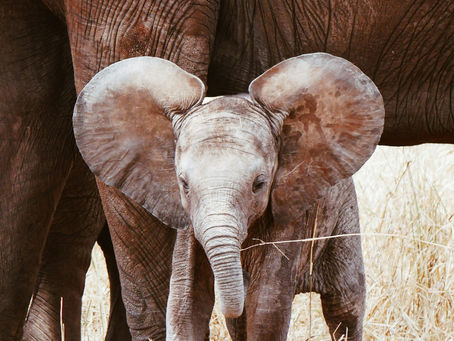 self-love and vulnerability (new guided visualization exercise included!)