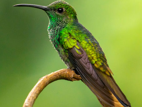 self-love for inadequacy