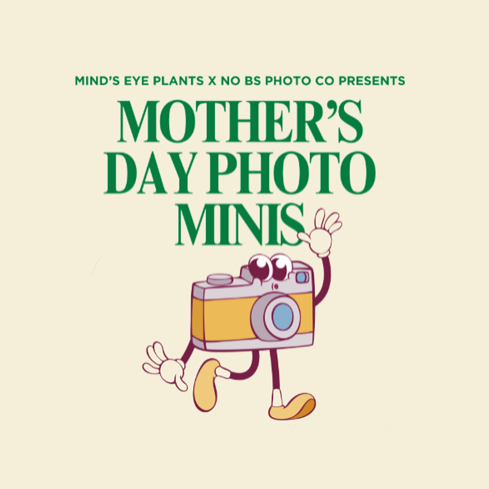 Mother's Day Photo Mini Sessions