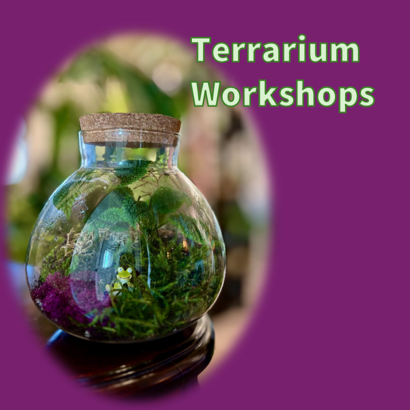 Terrarium Workshop 
