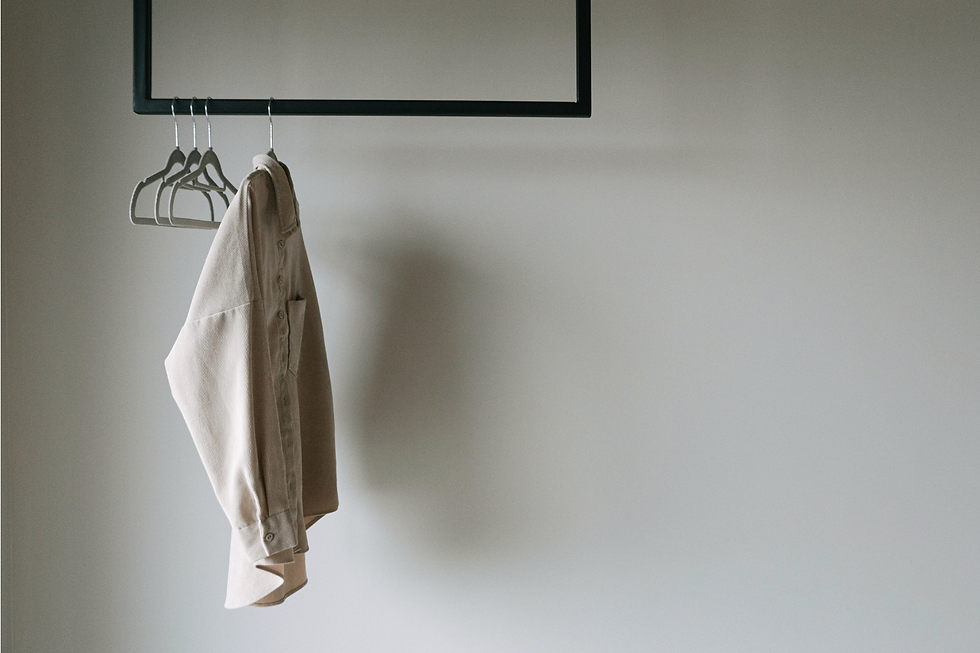 Personal closet with some empty hangers and one blouse on a hanger.