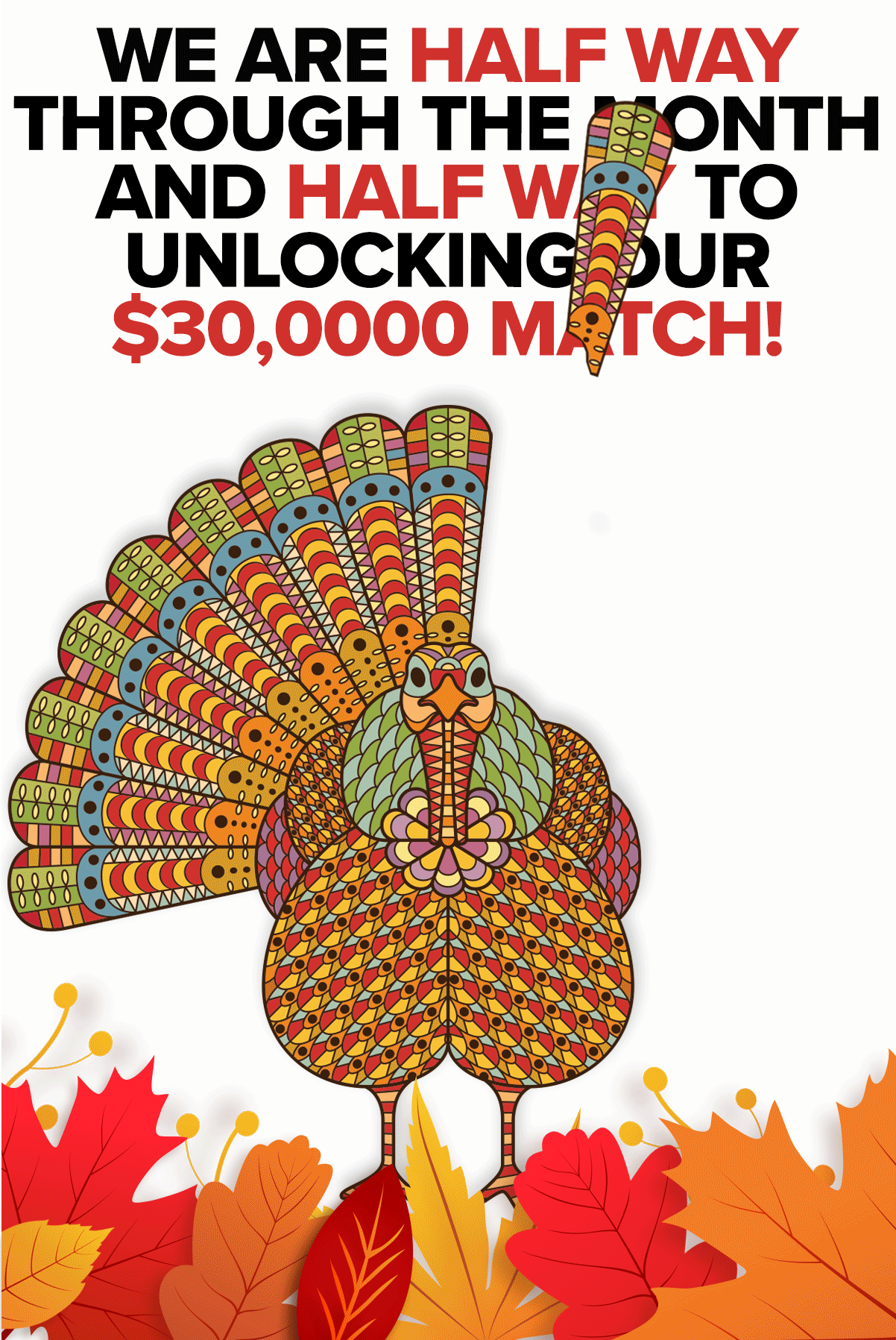 RHSF_GivingTuesdayEmail_2.gif