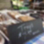 392931989_757760946363942_57026096787027892_n