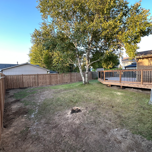 Fence surrouding yard and new deck