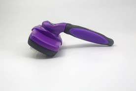 Brush