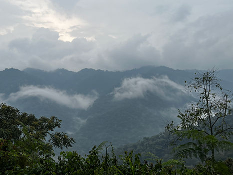 IMG_3527.JPG