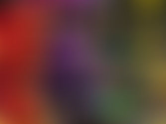 Various colors of sewing thread hang from a pegboard. Purple Gutermann threads are in focus, with various shades of red, green and gray threads blurred in the background.