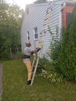 image8.jpeg