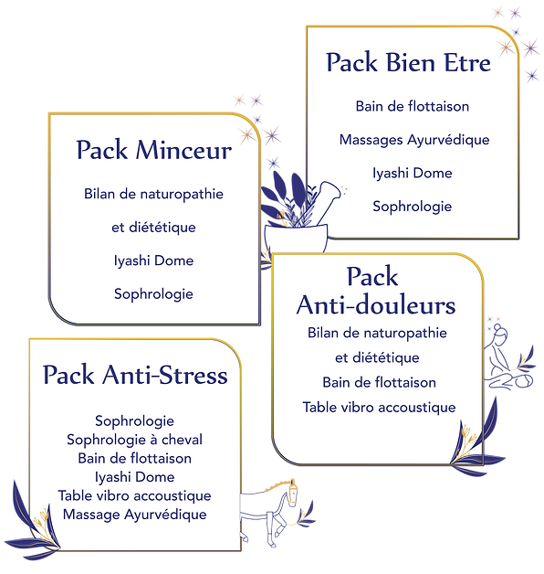 spa bien-être soins santé à Tours, bain de flottaison à Tours, naturopathie à Tours, réflexologie plantaire à Tours, access bars à Tours, Iyashi Dôme, Massage Ayurvédique, sophrologie à cheval, table vibroaccoustique à Tours.