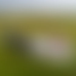 Stonehenge (A303) ground investigation