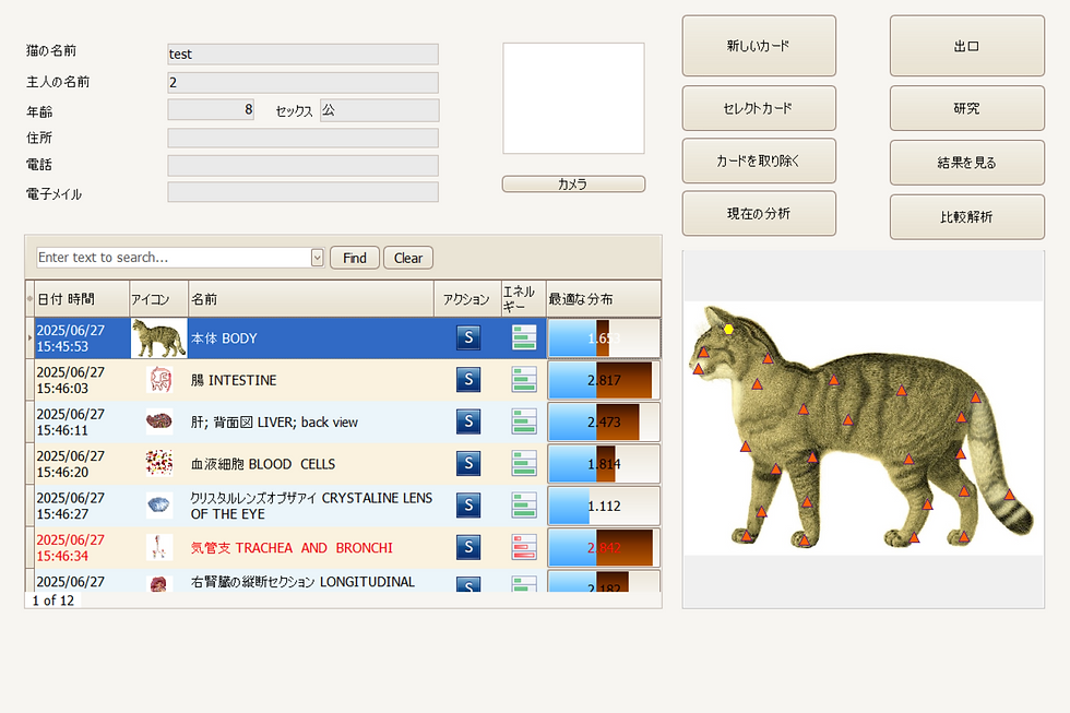 スクリーンショット (52).png