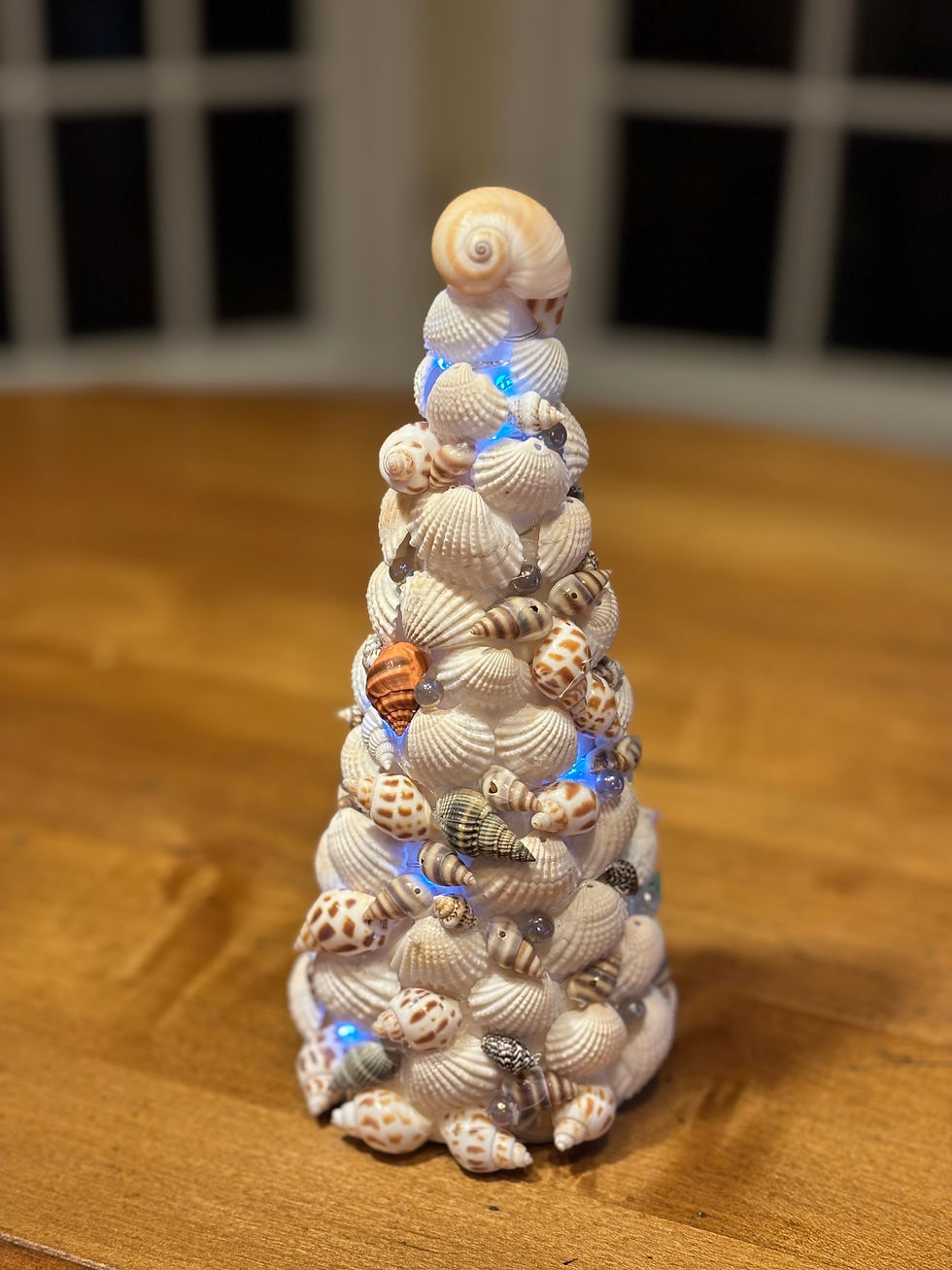 Coral Castle Thanksgiving, Rochester, NY