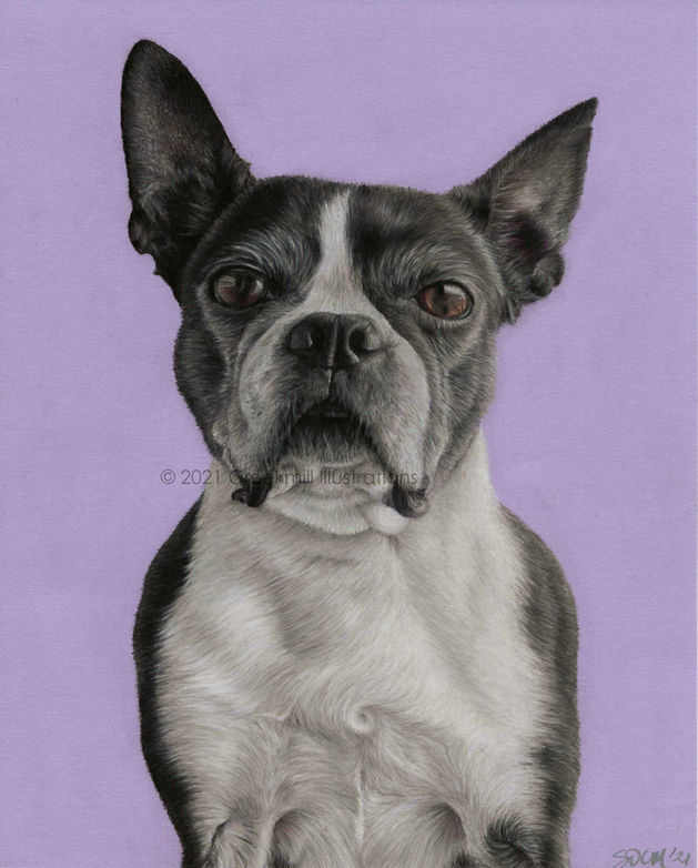 Baily LQ watermark.jpg