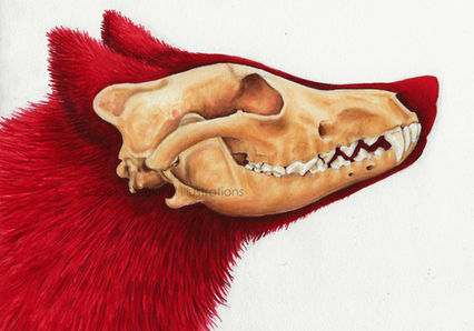 2021JulyRedWolfMarker LQ- CR_edited.jpg