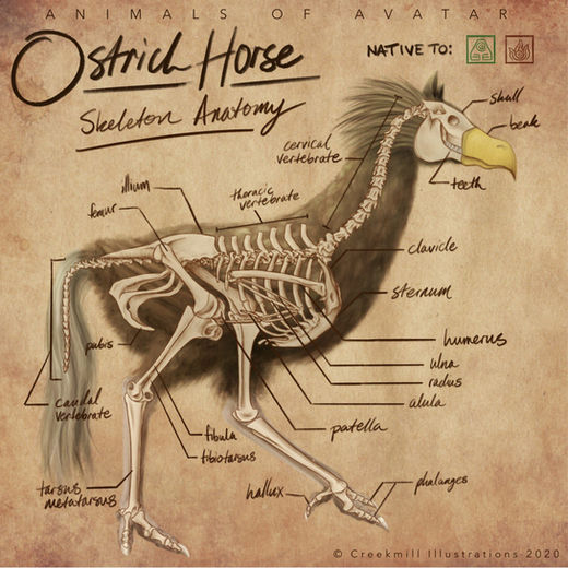 FIX overlay labeled.jpg