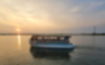 Bottoms Up Sunset.jpg