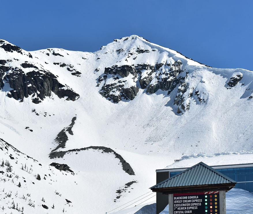Avalanches coming down the side of the Saudan Couloir