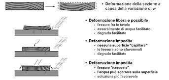 Immagine13.png