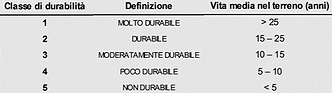Immagine12.png