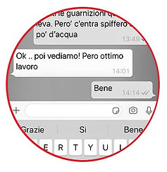 Cattura2.JPG