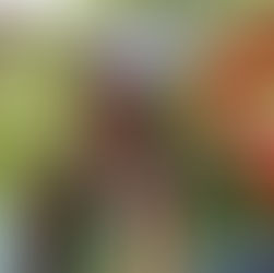 12-Year-Old Moves from Maasailand to Colorado USA to Pave Way for Gender Equality