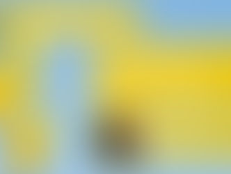 texto em amarelo com flores no fundo e imagem do psicólogo parceiro