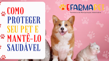 Saúde Animal: Como Proteger o seu Pet e Mantê-lo Saudável?