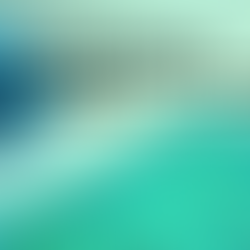 Mitocôndrias e energia: onde a vitalidade realmente começa