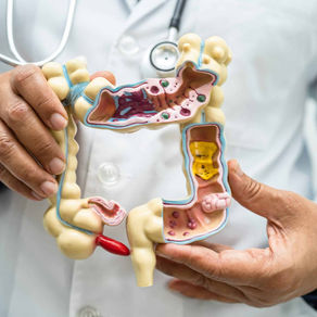 Microbiota intestinal: influência no peso e metabolismo