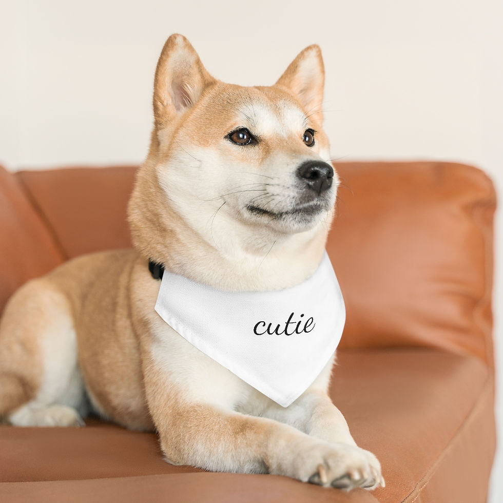 Thumbnail: Pet Bandana Collar