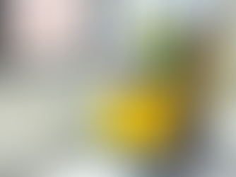 Cheap Cleaners in Rotherham: How to Find Affordable Carpet Cleaning Services