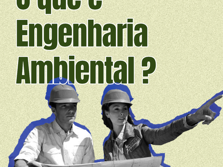 O que é a Engenharia Ambiental ?
