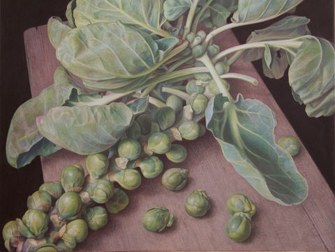 Cruciferae #2, 16 1_2_ X 18 1_2_, 2016 copy 2.jpg