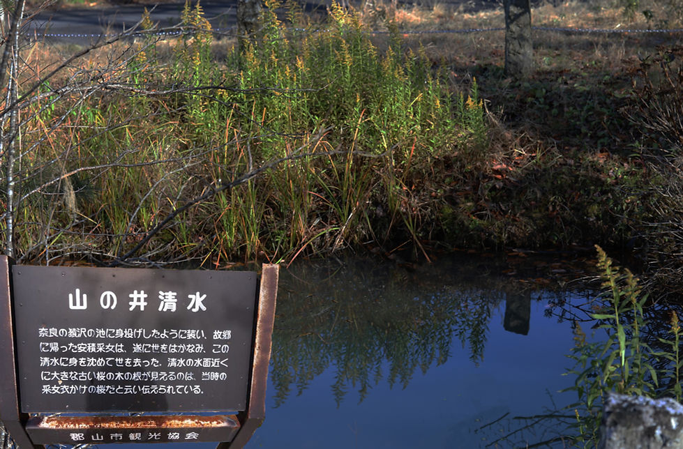 山の井の清水看板.jpg
