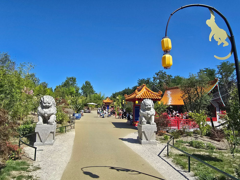 Une nouvelle zone, destinée aux nouveaux protégés du Zoo de Beauval.