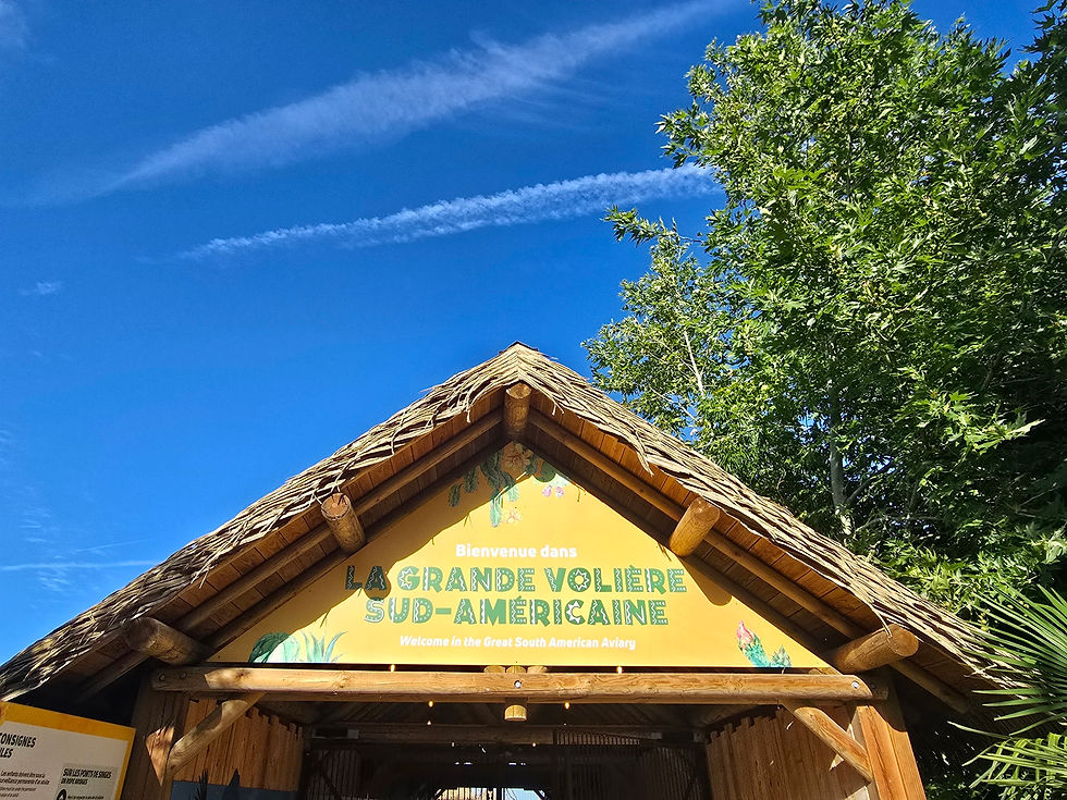 Un voyage immersif au cœur de la faune sud-américaine : La Grande Volière du ZooParc de Beauval