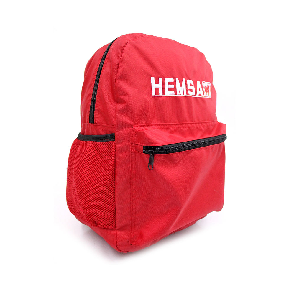 Hemsa Economy Backpack