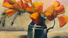 California Poppies