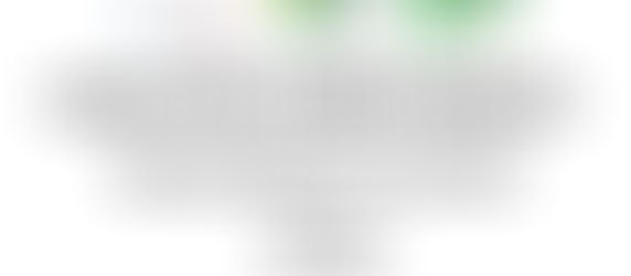 A Celebration of Play and Movement: LNCI Second Sports Carnival