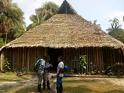 amazonas (21).jpeg