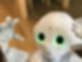 怎麼學習Robot?